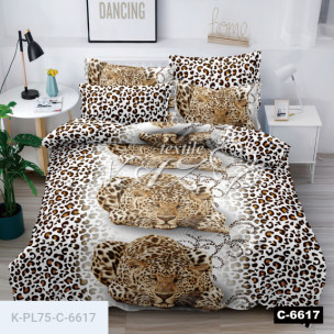 Комплект постельного белья Полиэстер C-6617_68237