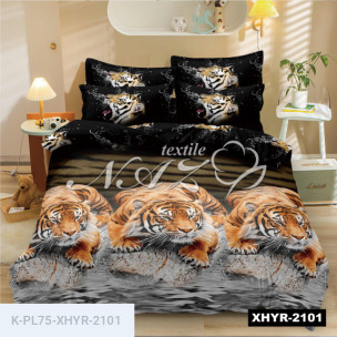 Комплект постельного белья Полиэстер XHYR-2101_65905