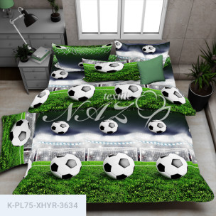 Комплект постельного белья Полиэстер XHYR-3634_68792