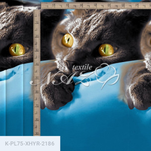 Комплект постельного белья Полиэстер XHYR-2186_68340