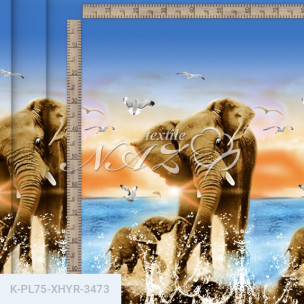 Комплект постельного белья Полиэстер XHYR-3473_66758